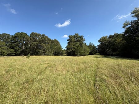 Midway, TX 75852 Madison County