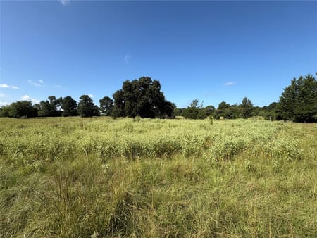 Midway, TX 75852 Madison County