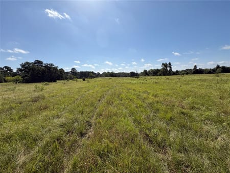 Midway, TX 75852 Madison County