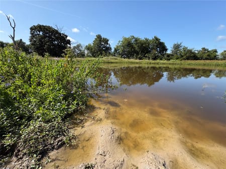 Midway, TX 75852 Madison County