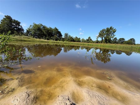 Midway, TX 75852 Madison County