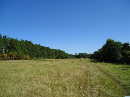 Groveton, TX 75845 Trinity County