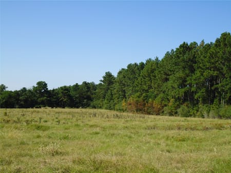 Groveton, TX 75845 Trinity County