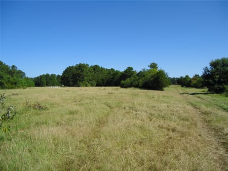 Groveton, TX 75845 Trinity County