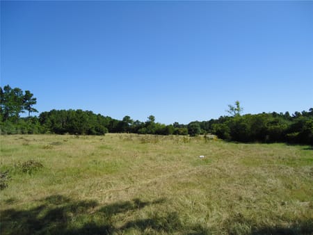Groveton, TX 75845 Trinity County