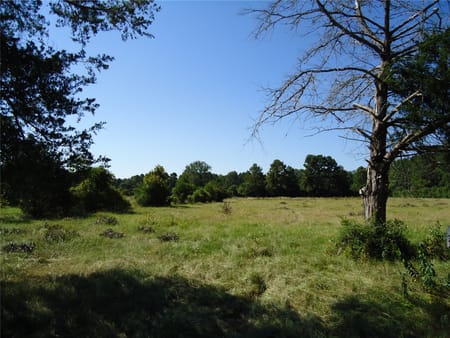 Groveton, TX 75845 Trinity County
