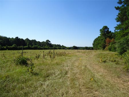 Groveton, TX 75845 Trinity County