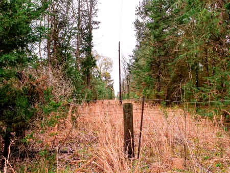 Marietta, TX 75566 Cass County