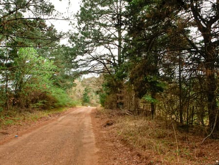 Marietta, TX 75566 Cass County