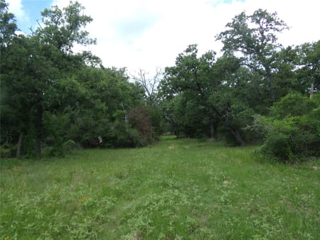 Weimar, TX 78962 Colorado County