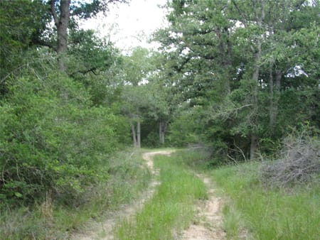 Weimar, TX 78962 Colorado County