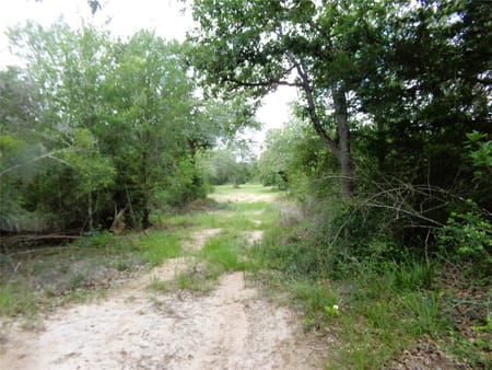 Weimar, TX 78962 Colorado County