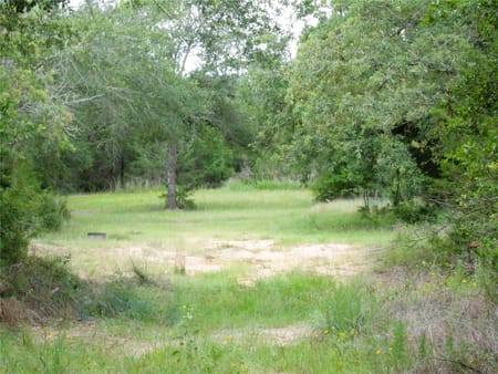 Weimar, TX 78962 Colorado County