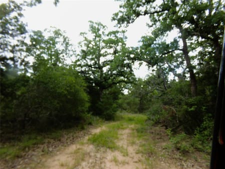 Weimar, TX 78962 Colorado County