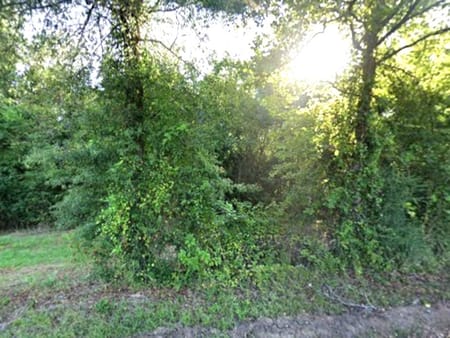 Carthage, TX 75633 Panola County