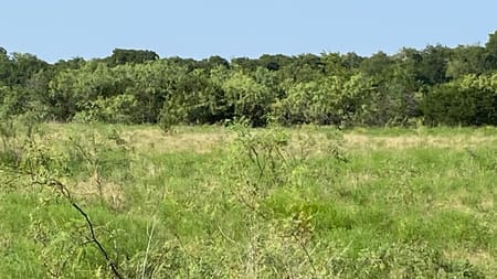 Blum, TX 76627 Hill County