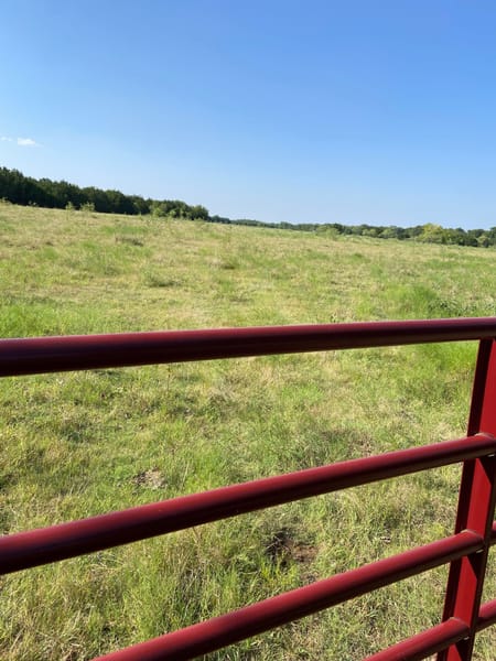 Blum, TX 76627 Hill County