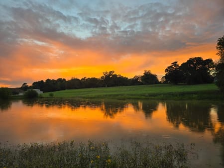 Athens, TX 75752 Henderson County