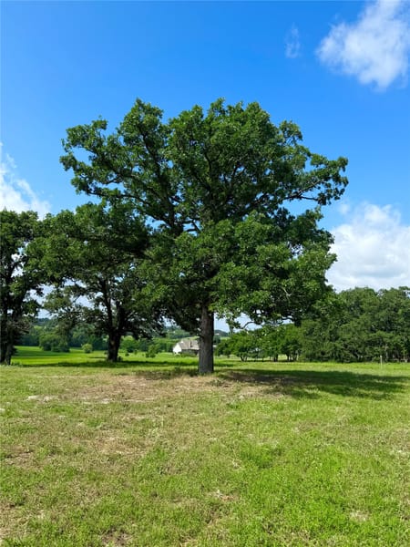 Athens, TX 75752 Henderson County