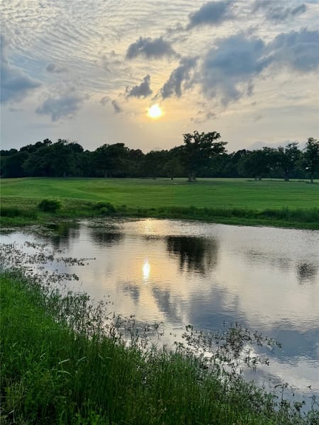Athens, TX 75752 Henderson County