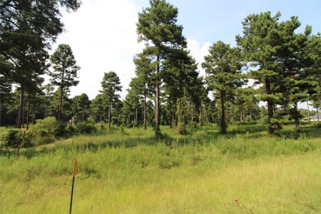 Doyline, LA 71023 Webster Parish