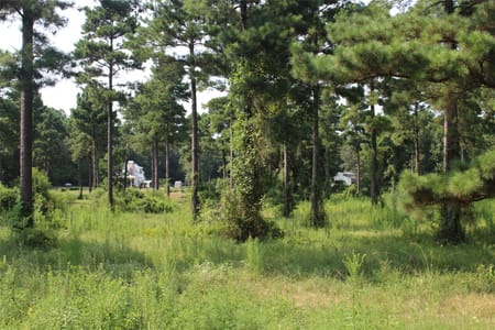 Doyline, LA 71023 Webster Parish