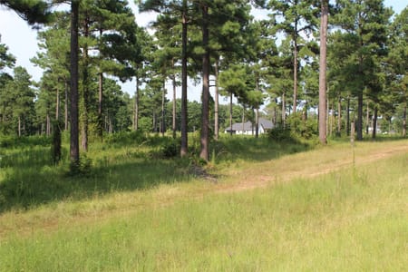 Doyline, LA 71023 Webster Parish