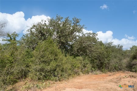 Gonzales, TX 78629 Gonzales County