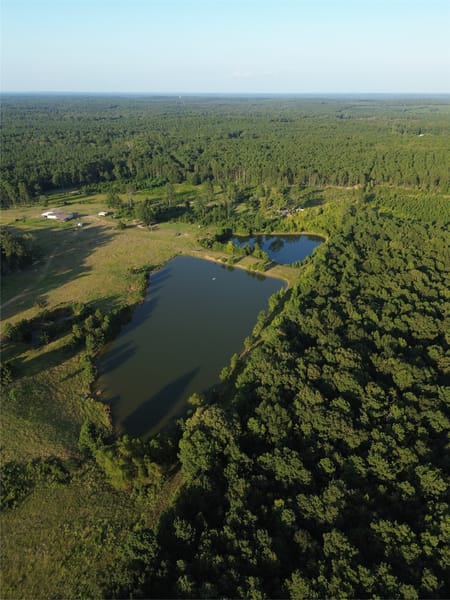 Ringgold, LA 71068 Bienville Parish
