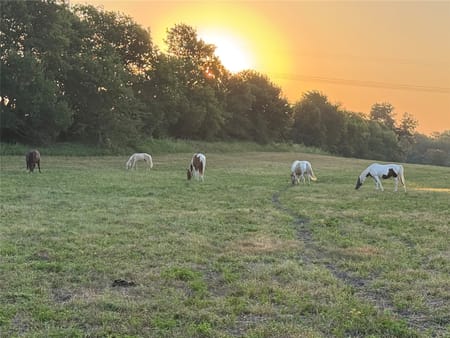 Van Alstyne, TX 75495 Grayson County