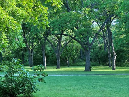 Mansfield, TX 76063 Johnson County