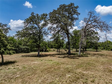 New Ulm, TX 78950 Colorado County
