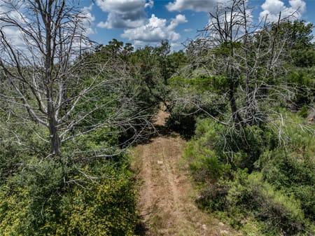 New Ulm, TX 78950 Colorado County