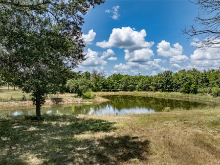 New Ulm, TX 78950 Colorado County
