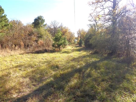Crockett, TX 75835 Houston County