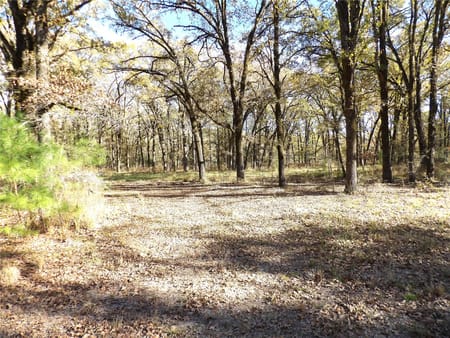 Crockett, TX 75835 Houston County