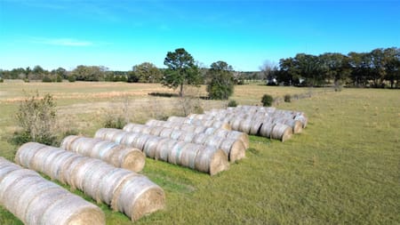Crockett, TX 75835 Houston County
