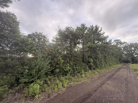 Magnolia Springs, TX 75956 Jasper County