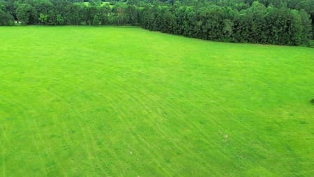 Magnolia Springs, TX 75956 Jasper County
