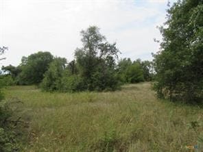 Buckholts, TX 76518 Milam County