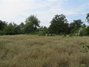 Buckholts, TX 76518 Milam County