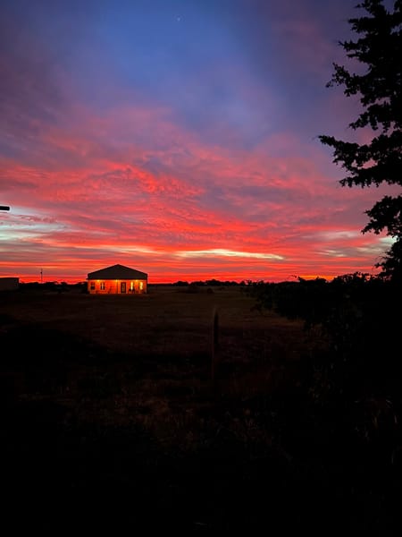 Celeste, TX 75423 Fannin County