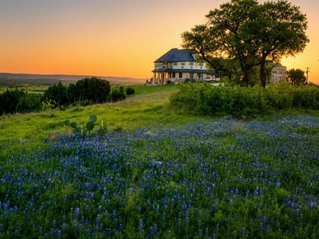 Meridian, TX 76665 Bosque County