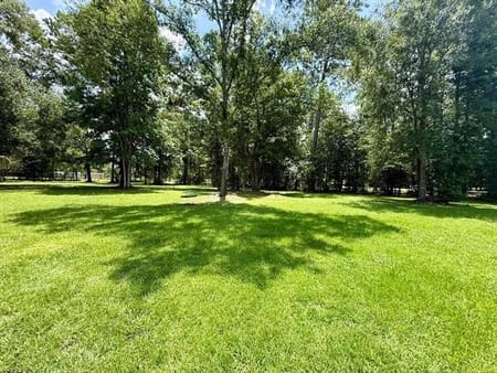 Kirbyville, TX 75956 Jasper County