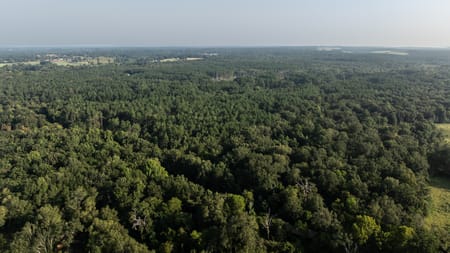 Laneville, TX 75667 Rusk County