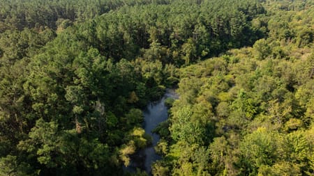 Laneville, TX 75667 Rusk County