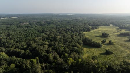 Laneville, TX 75667 Rusk County