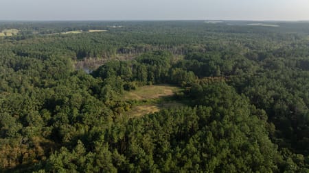 Laneville, TX 75667 Rusk County