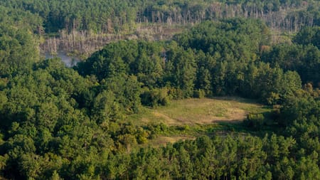 Laneville, TX 75667 Rusk County