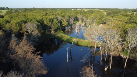Sadler, TX 76264 Grayson County